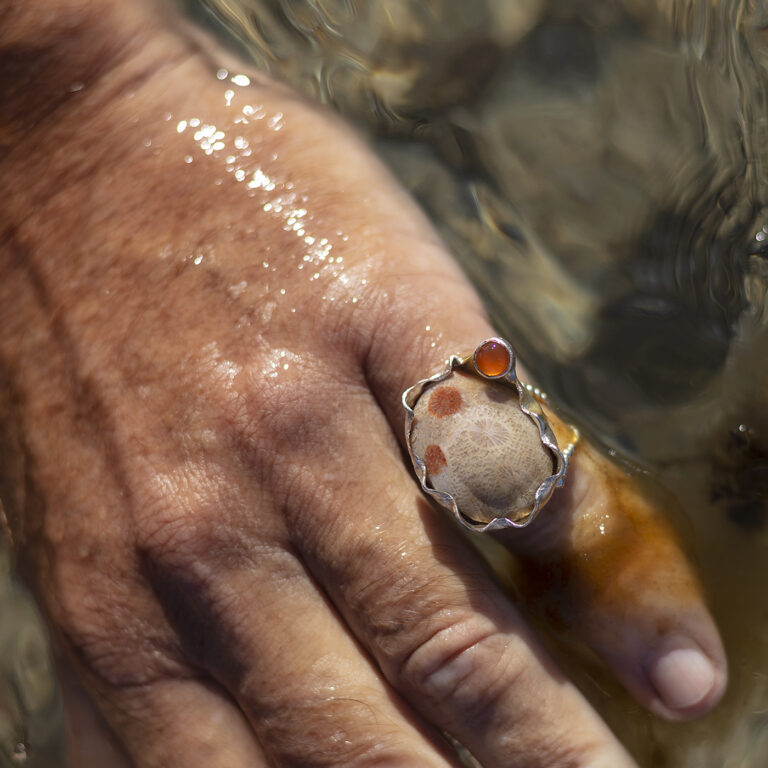 Cambrium Puppe ring