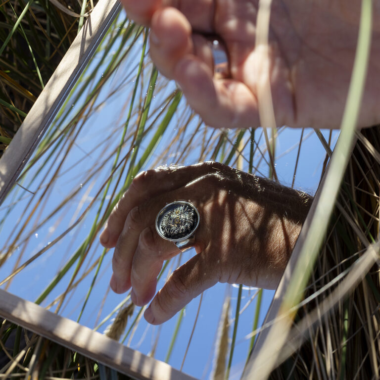 Løven ring